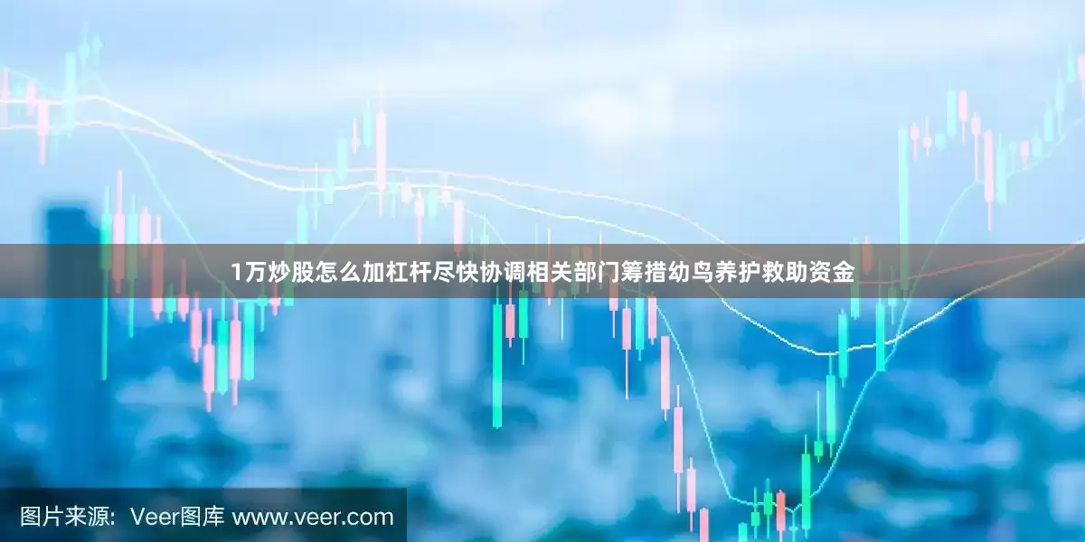 1万炒股怎么加杠杆尽快协调相关部门筹措幼鸟养护救助资金