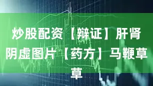 炒股配资【辩证】肝肾阴虚图片【药方】马鞭草
